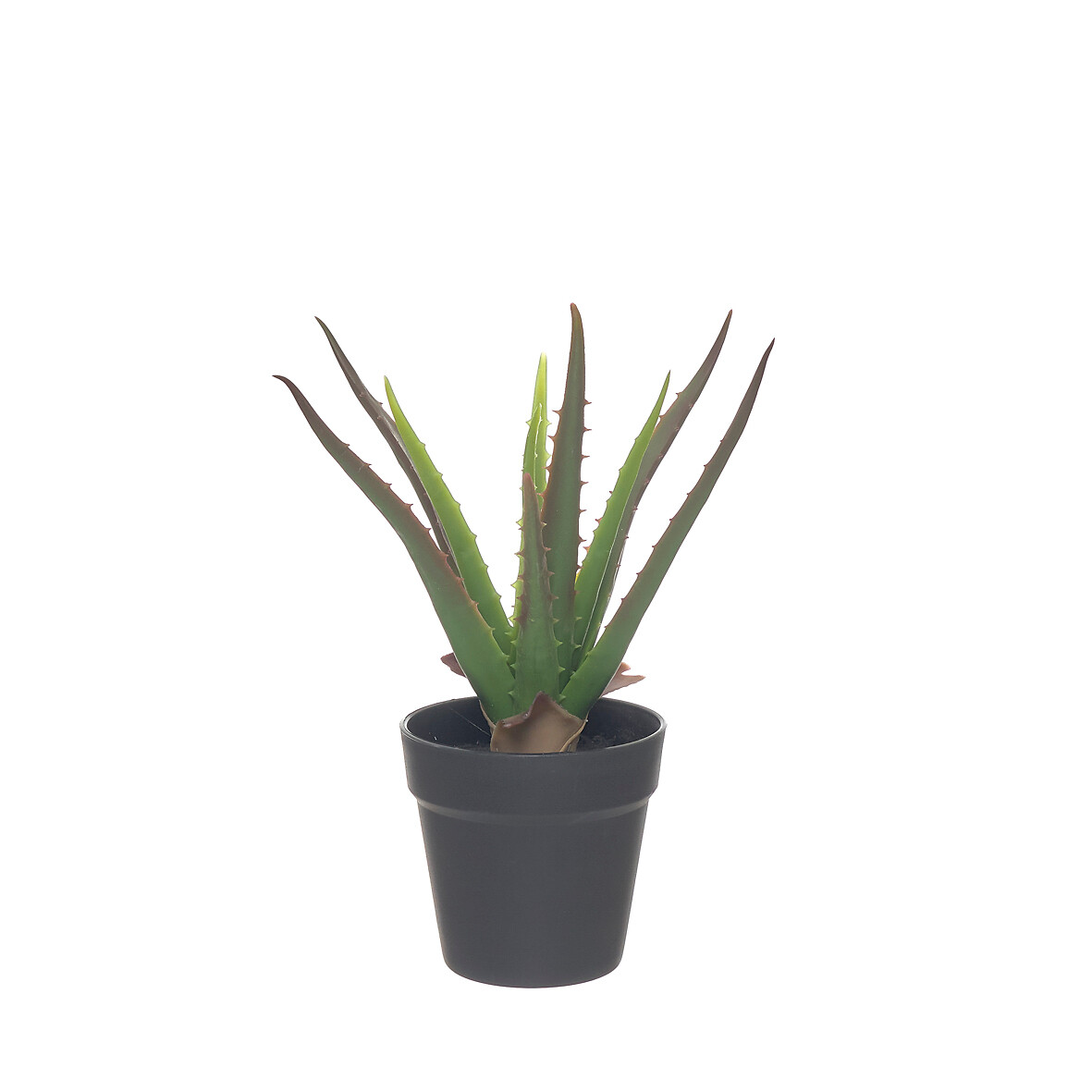 Planta artificial "Aloe" 36cm, BORGHESI, BORGHESI