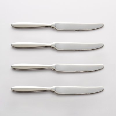 4er-Set Messer RAKINEN aus Edelstahl LA REDOUTE INTERIEURS