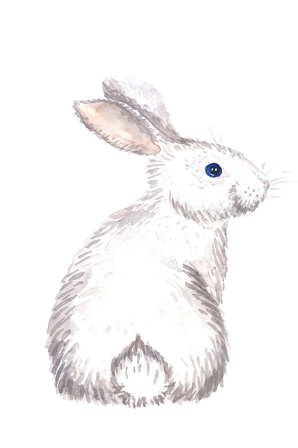 Tableau enfants pour le lapinou, HEXOA