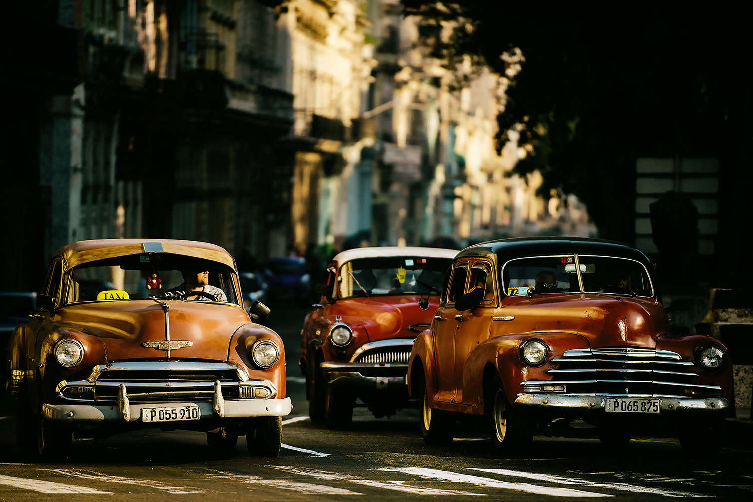 Tableau taxi, HEXOA