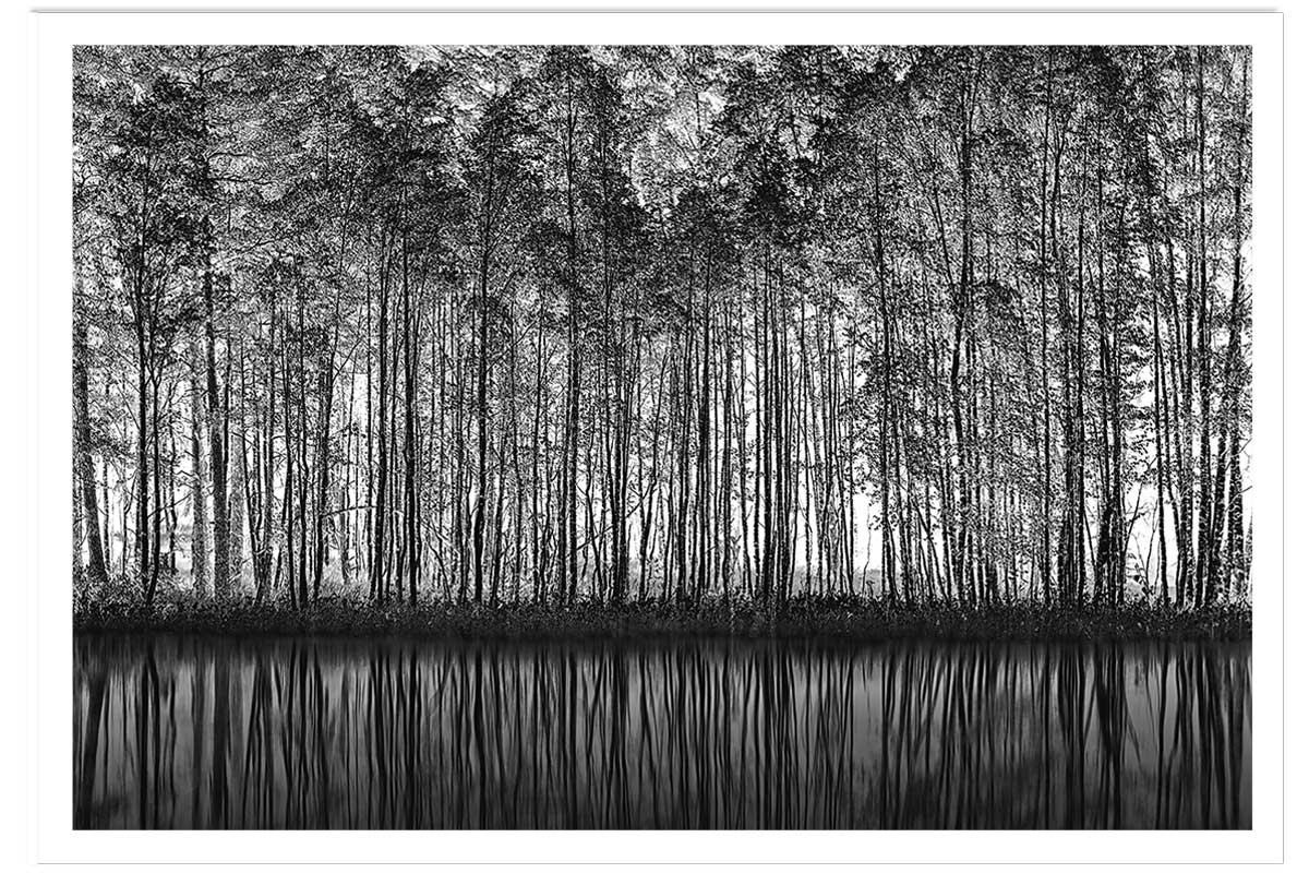 Affiche nature pointillisme, HEXOA