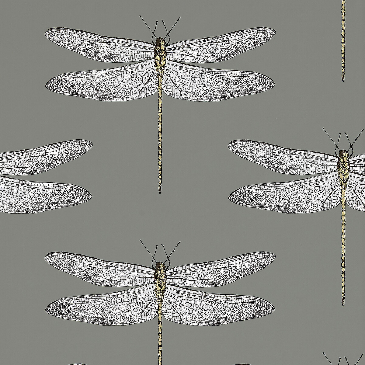 Demoiselle Wallpaper, HARLEQUIN