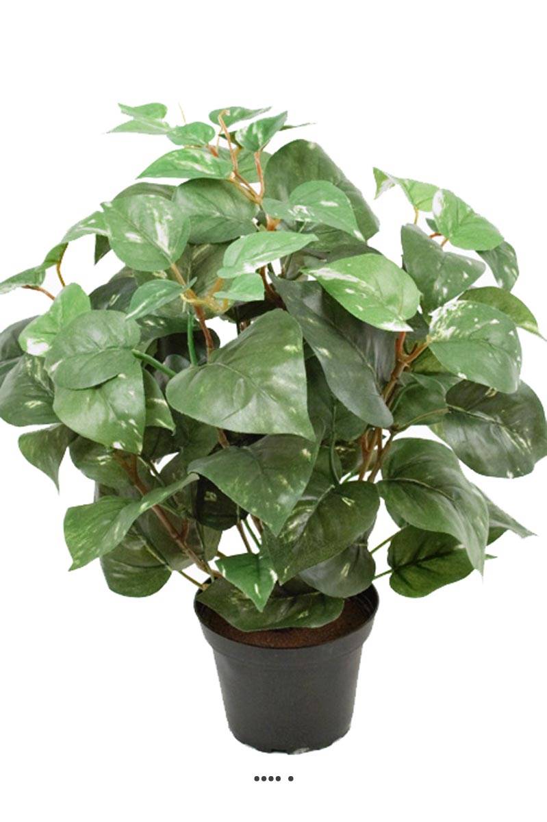 Pothos au feuillage panaché artificiel en pot, ARTIFICIELLES