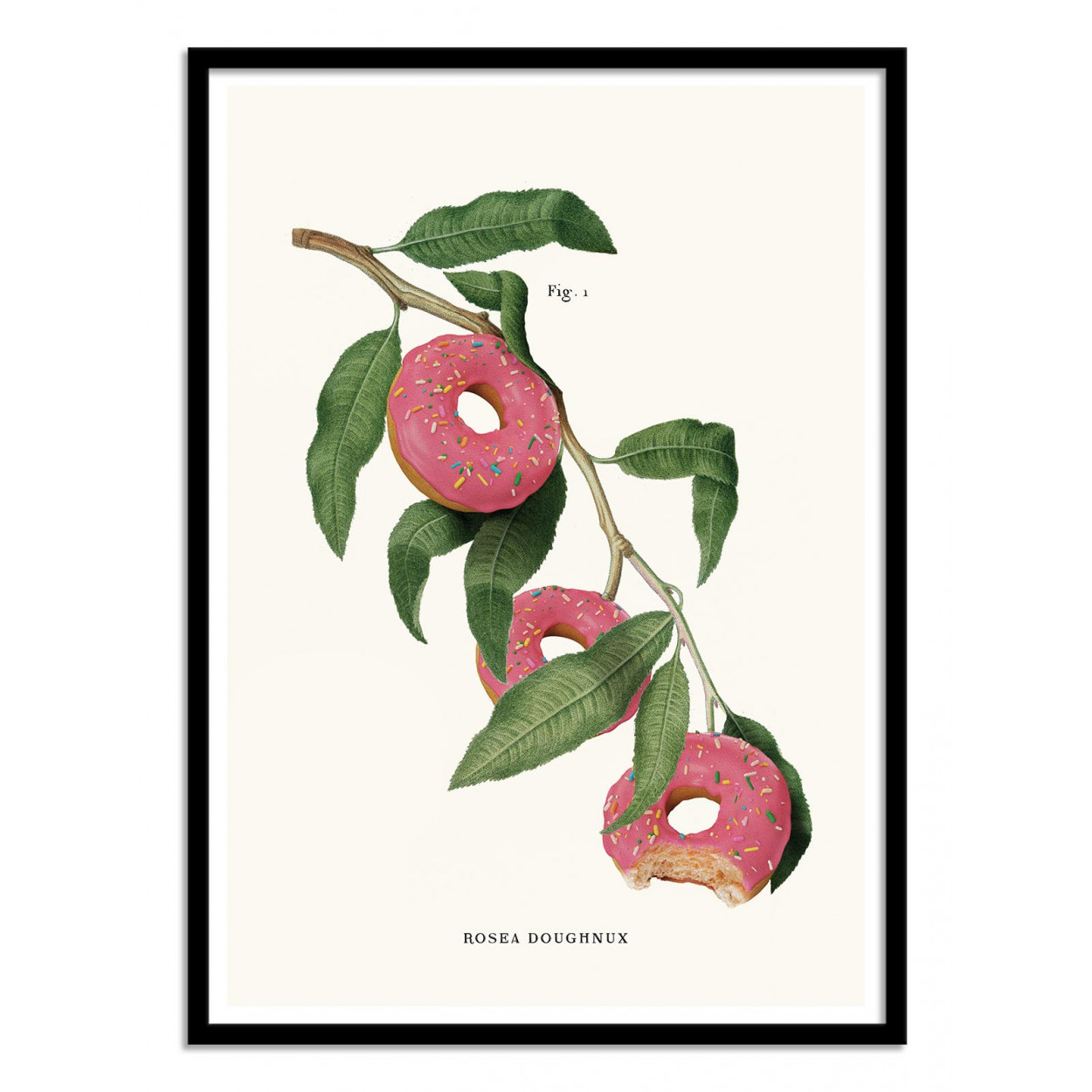 Affiche d'art - Donut Plant - Jonas Loose, WALL EDITIONS