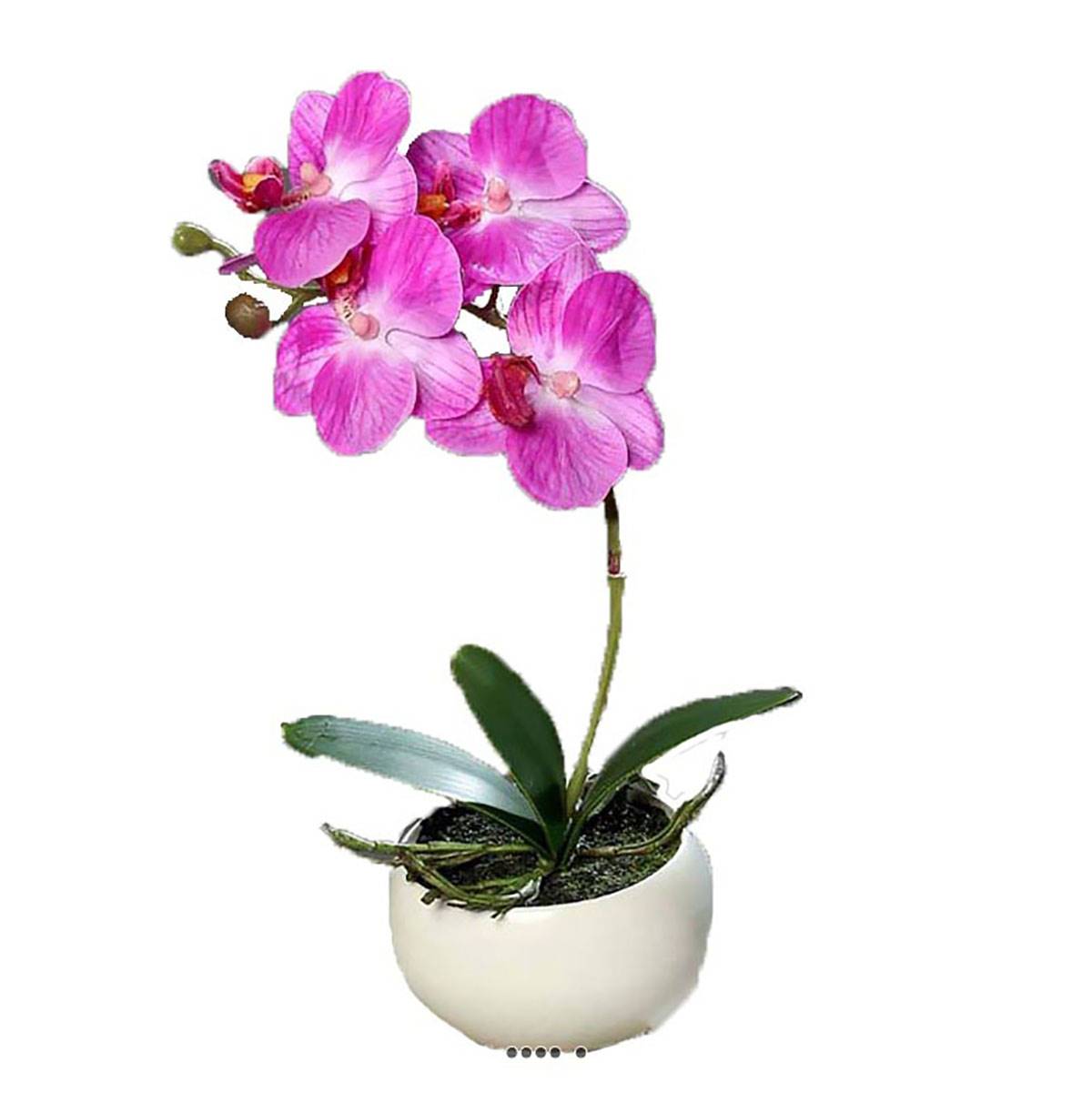 Orchidée phalaenopsis artificielle en coupe, ARTIFICIELLES