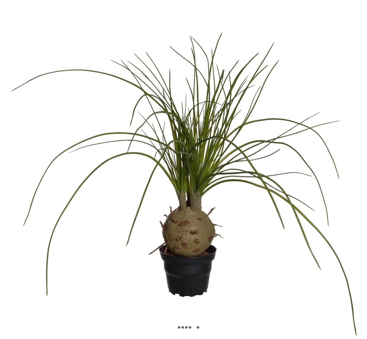 Palmier Beaucarnea artificiel en pot H 45 cm, ARTIFICIELLES