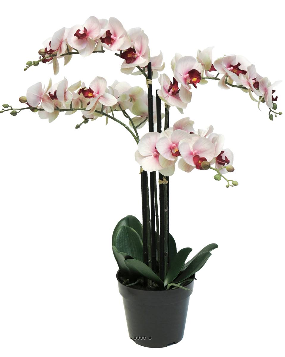 Orchidée Phalaenopsis factice en pot top q, ARTIFICIELLES