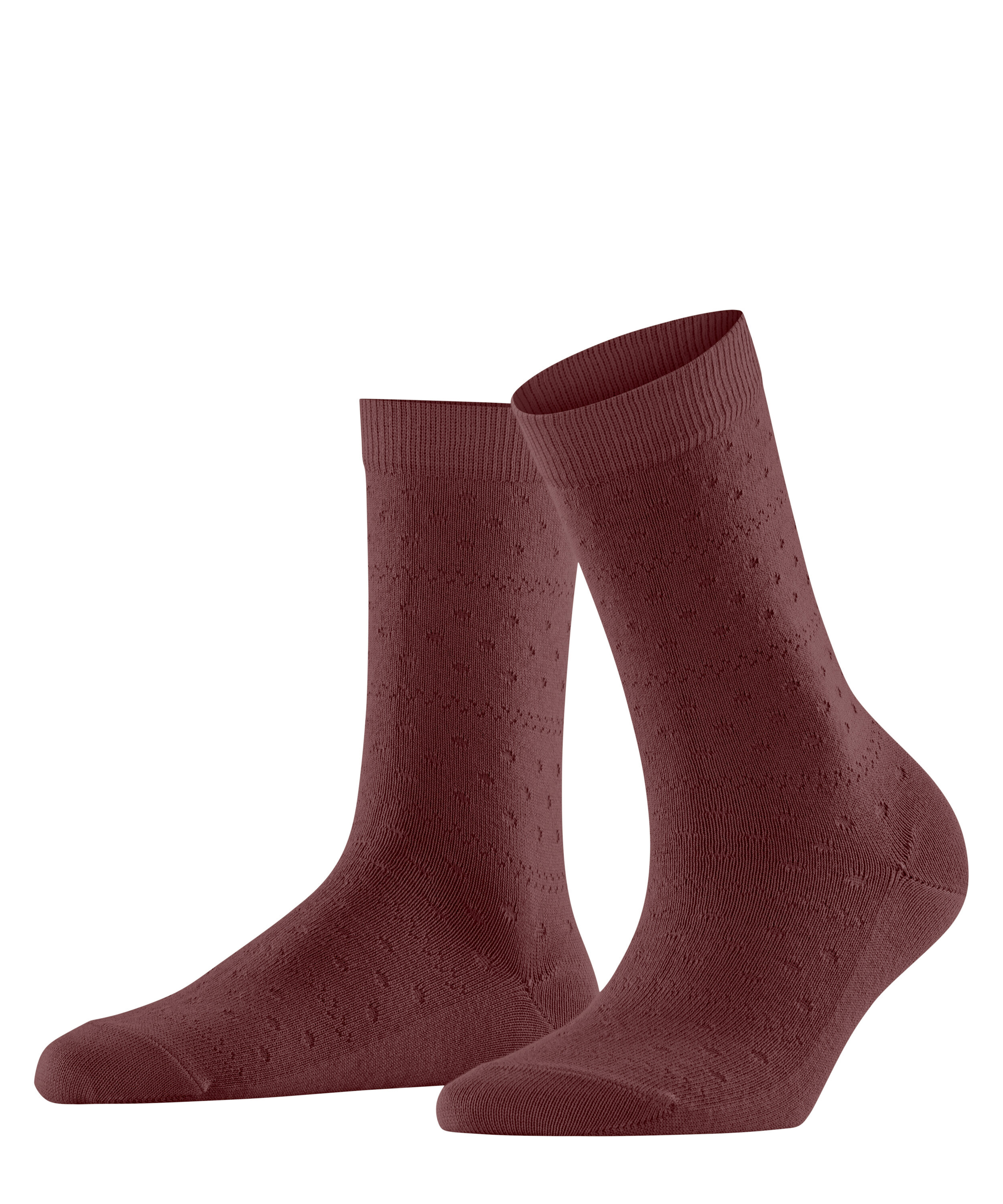 Chaussettes Family Special Edition, FALKE