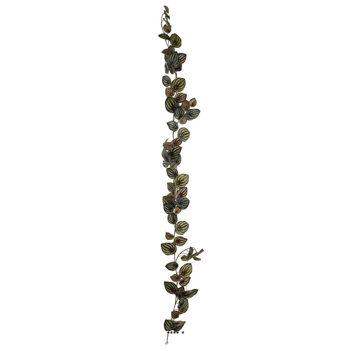 Guirlande factice ramifiée Vert Foncé, feuilles de Peperomia H 180 cm, ARTIFICIELLES