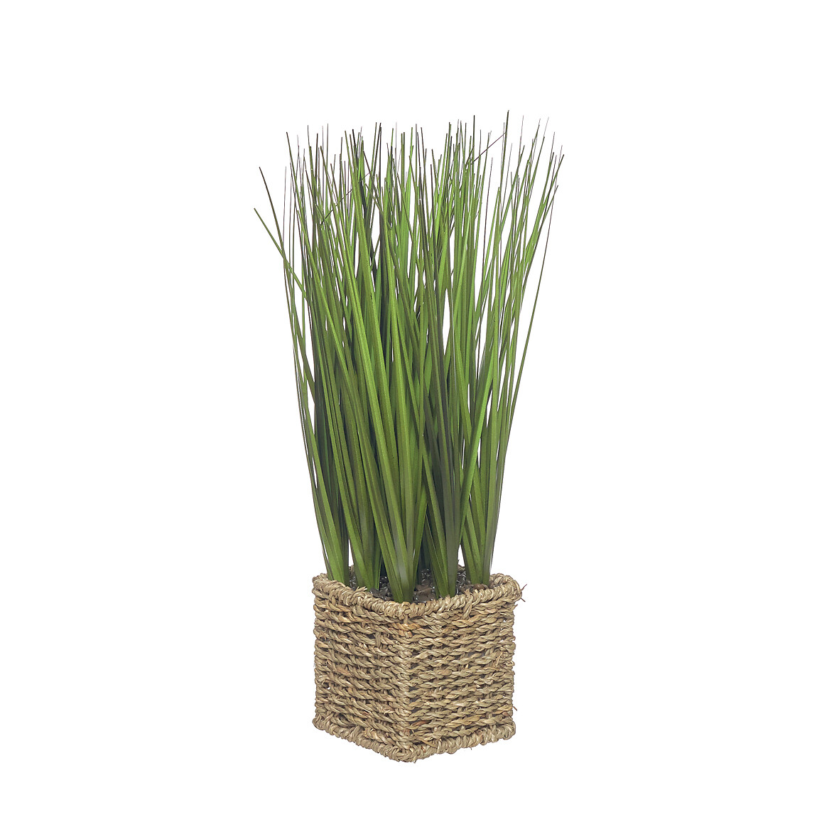 Planta artificial "Onion Grass" 41cm, BORGHESI, BORGHESI
