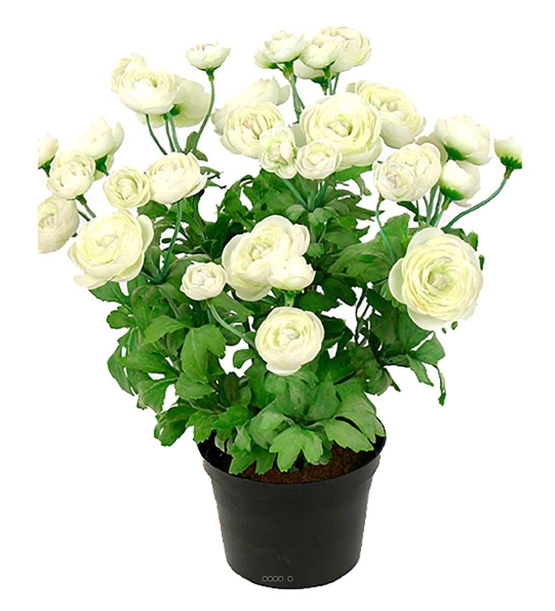 Renoncule factice en pot H28cm 32 fleurs, ARTIFICIELLES