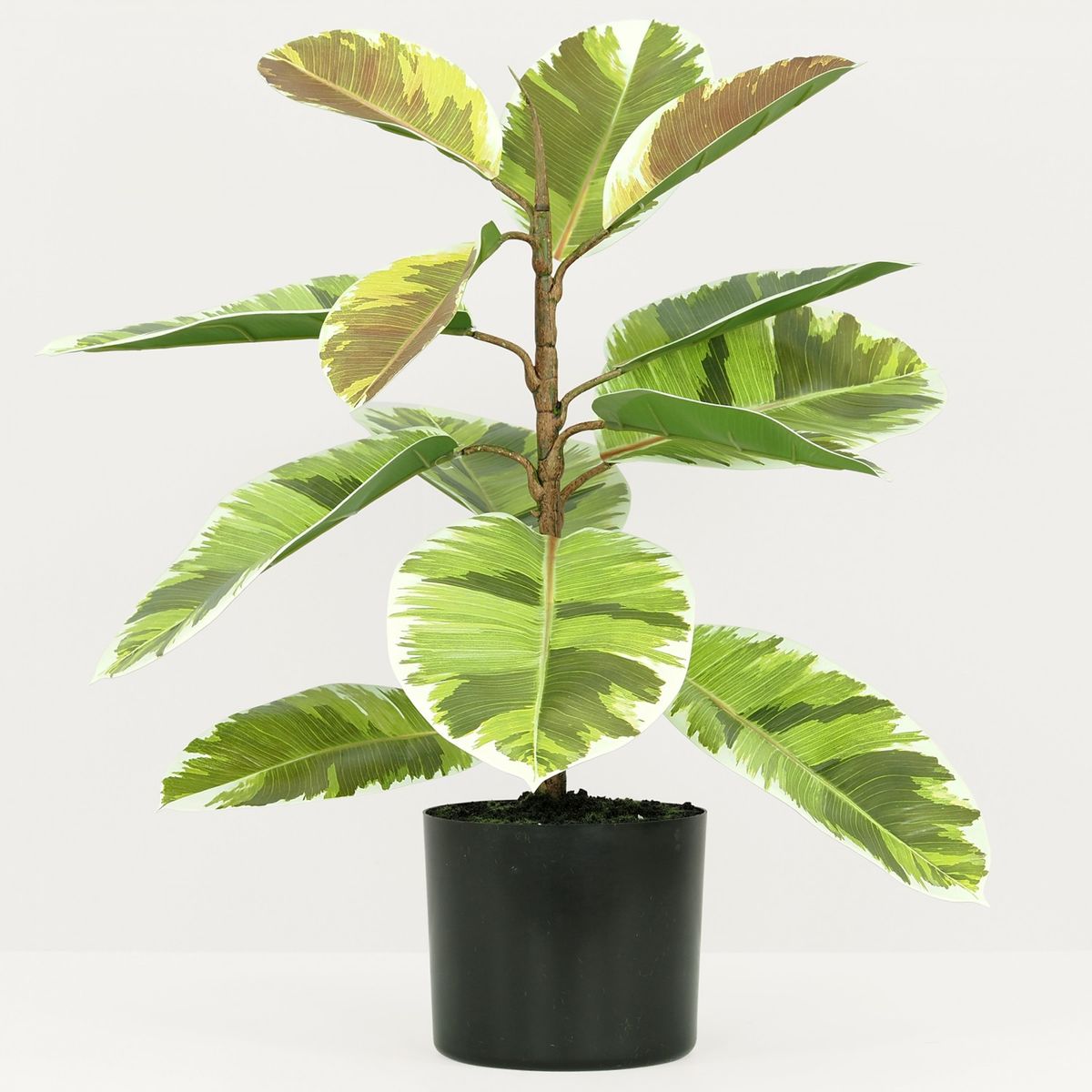 Plante verte calathea artificiel 100cm