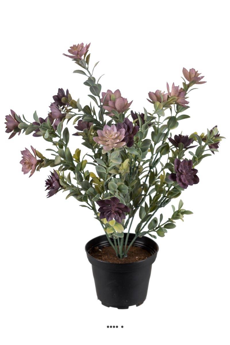 Succulente fleurie factice en pot cactée Vio, ARTIFICIELLES