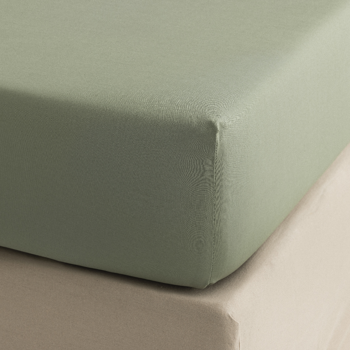 Drap housse en Coton, CHARMILLES, LE JACQUARD FRANCAIS