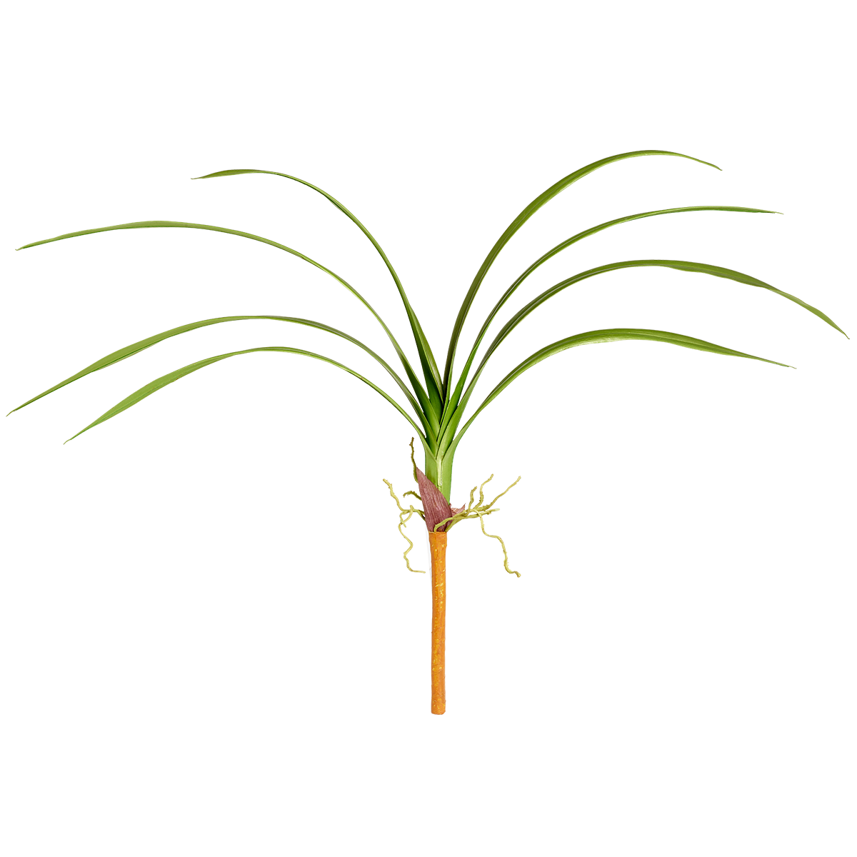 Branche de feuilles de cymbidium artificielle H80, SIA DECO