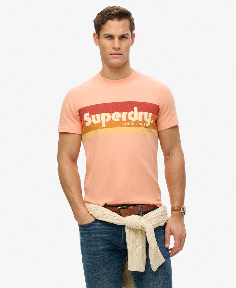 T-shirt décontracté à rayures et logo Terrain, SUPERDRY