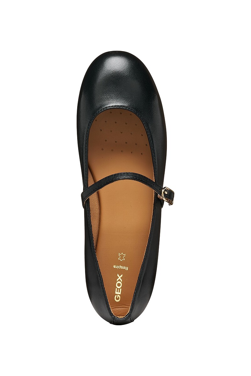 GEOX Bailarinas de piel Palmaria — photo 5