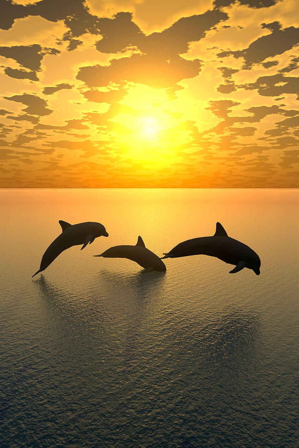 Tableau décoratif dauphins, HEXOA
