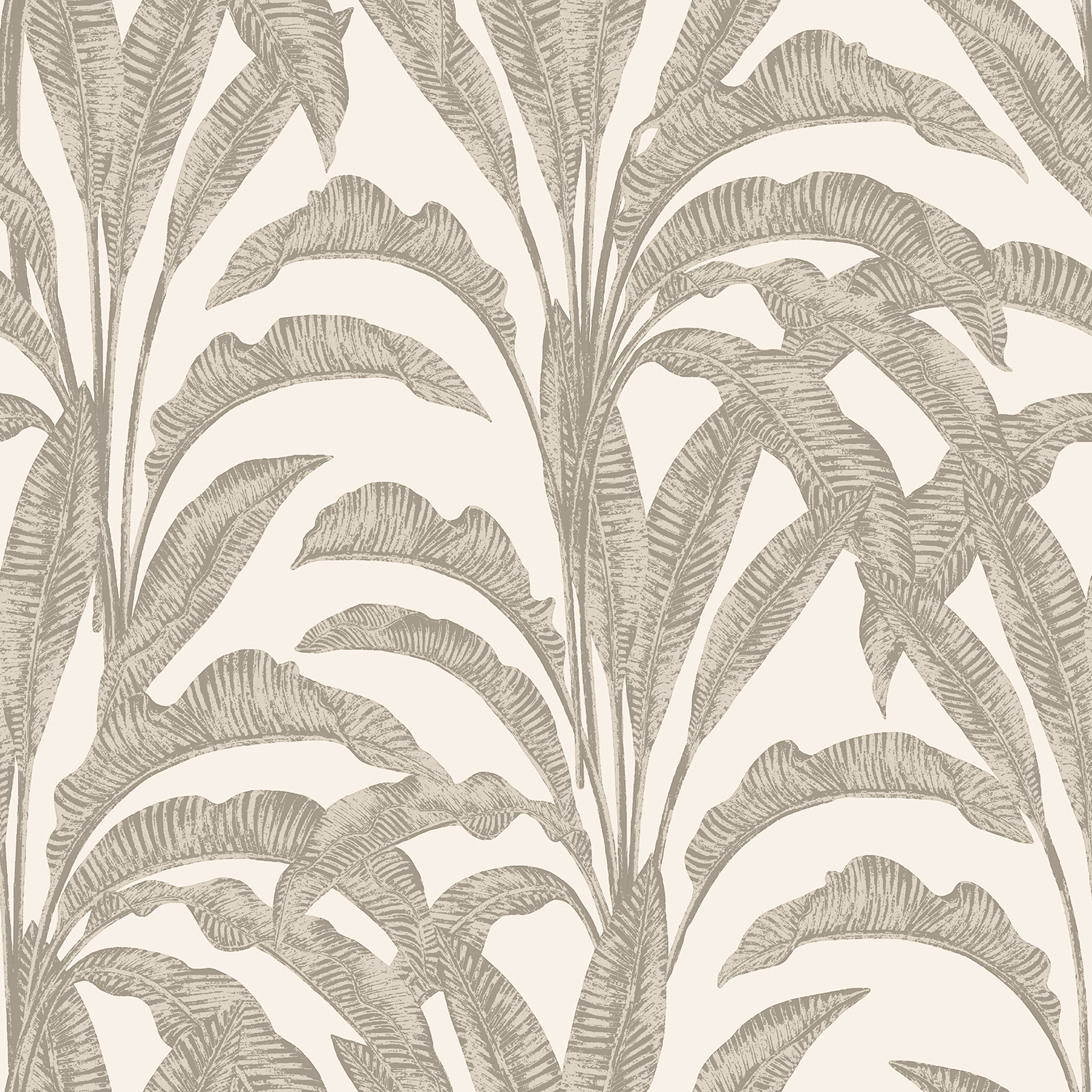 Papier peint feuilles bananier tropical taupe blanc, HEXOA