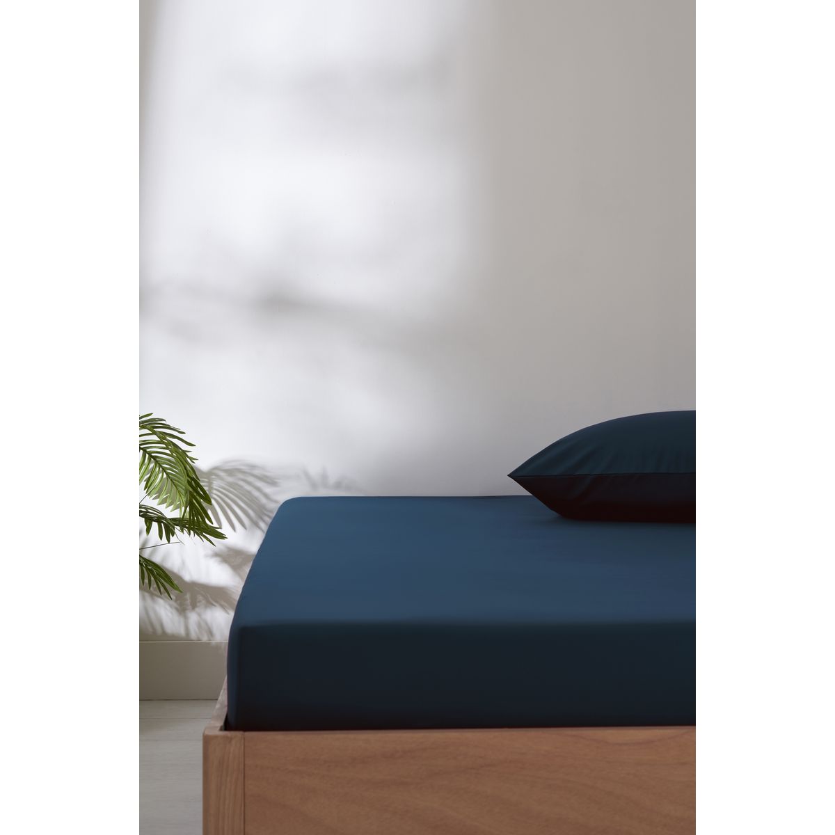 Drap doux anti-froissage, NEXT