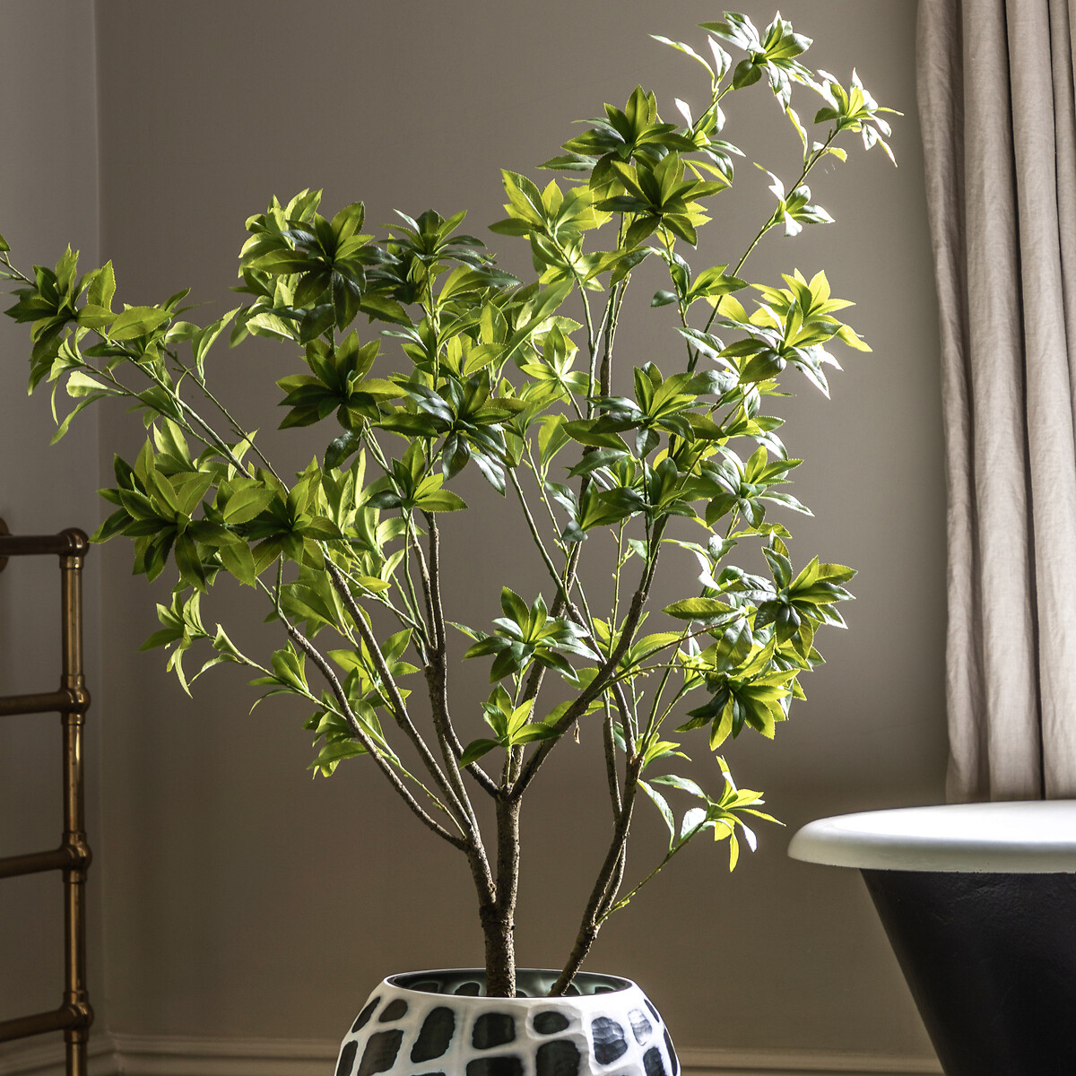 5ft Potted Pierisjaponica Tree, ÉDITÉ