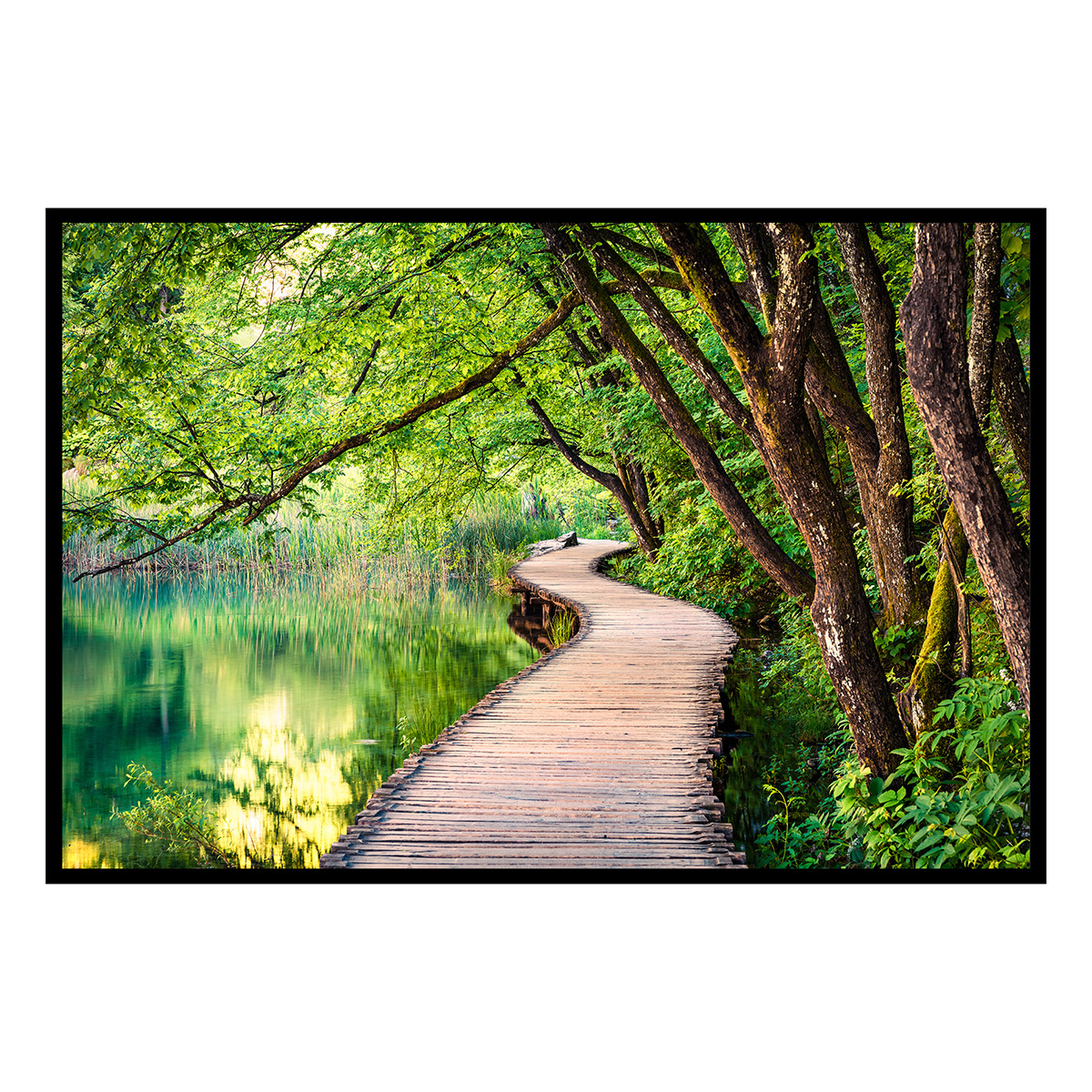 Affiche encadrée passerelle en forêt, HEXOA