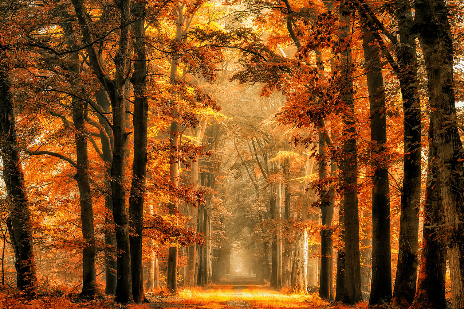 Tableau magie de l' automne, HEXOA