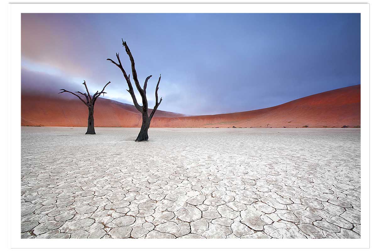 Affiche de Namibie, Le deadvlei, HEXOA