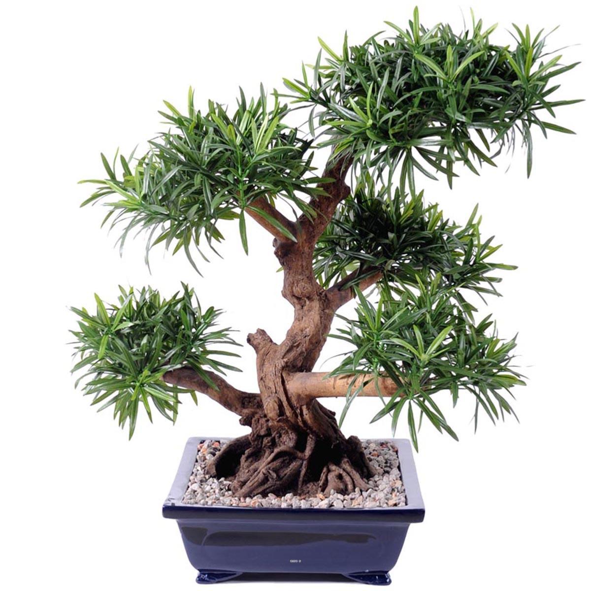 Bonsaï Podocarpus Artificiel H 70 cm D 60 cm, ARTIFICIELLES