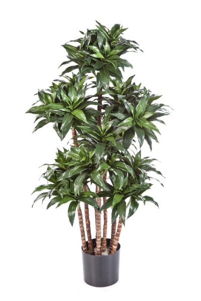 Dracaena Fragrans artificiel H 120 cm, ARTIFICIELLES