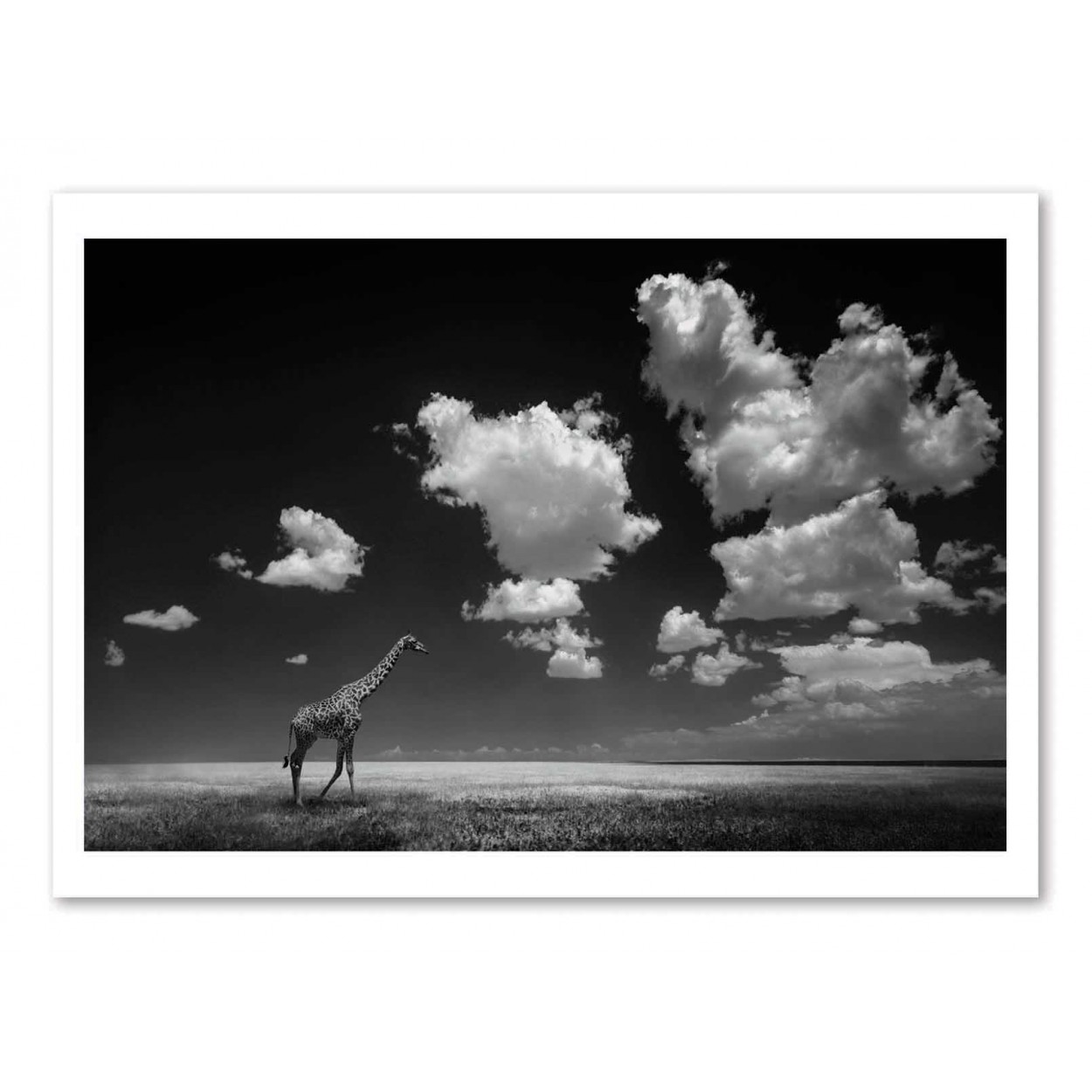 Affiche d'art - Gone with the Clouds - Alberto Ghizzi Panizza, WALL EDITIONS