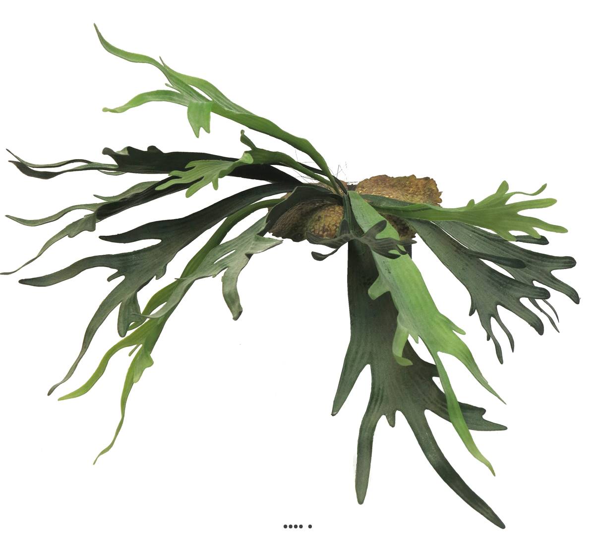 Fougère Platycerium factice socle imitation, ARTIFICIELLES
