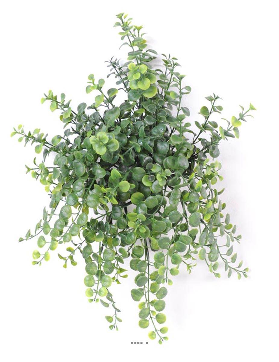 Peperonia artificiel en chute H 40 cm petites, ARTIFICIELLES