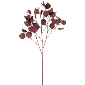 Feuillage Eucalyptus et Graines - Bordeaux / 96 cm