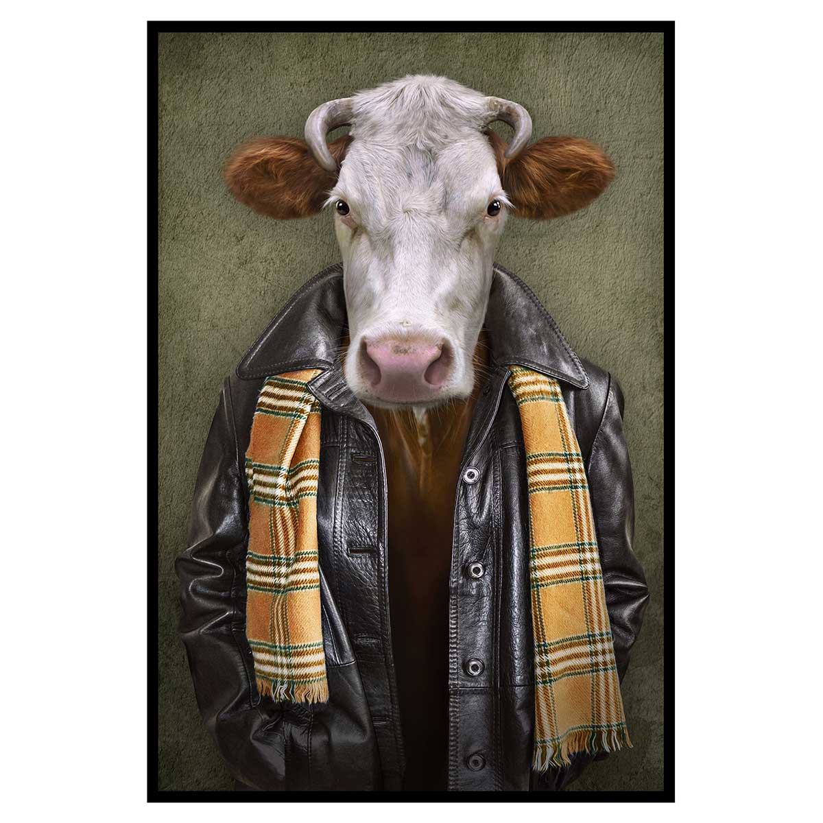 Affiche encadrée vache stylée avec veste et écharpe, HEXOA