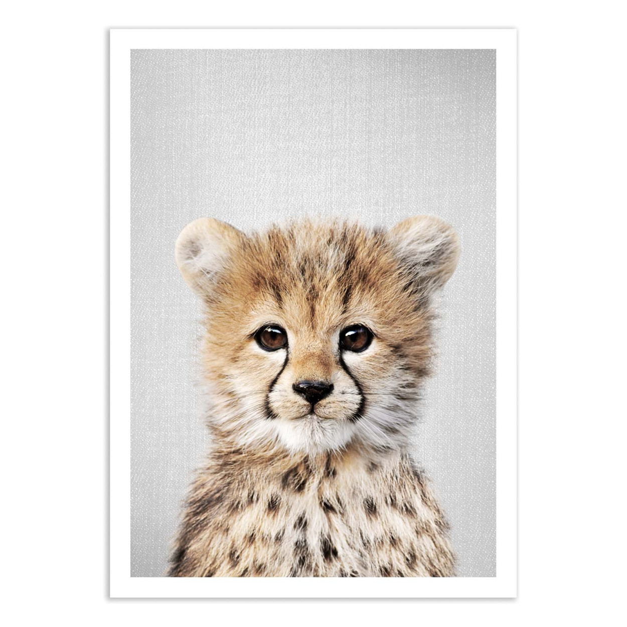 Affiche d'art - Baby cheetah - Gal Design, WALL EDITIONS