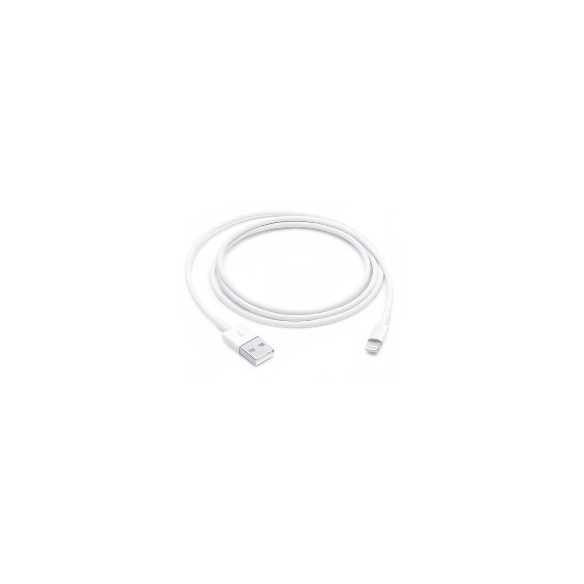 Câble Lightning Lightning vers USB 1m, APPLE