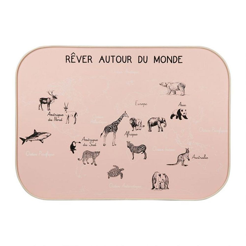 Décoration Murale Carte Du Monde Rose 70x50, DECORATIE