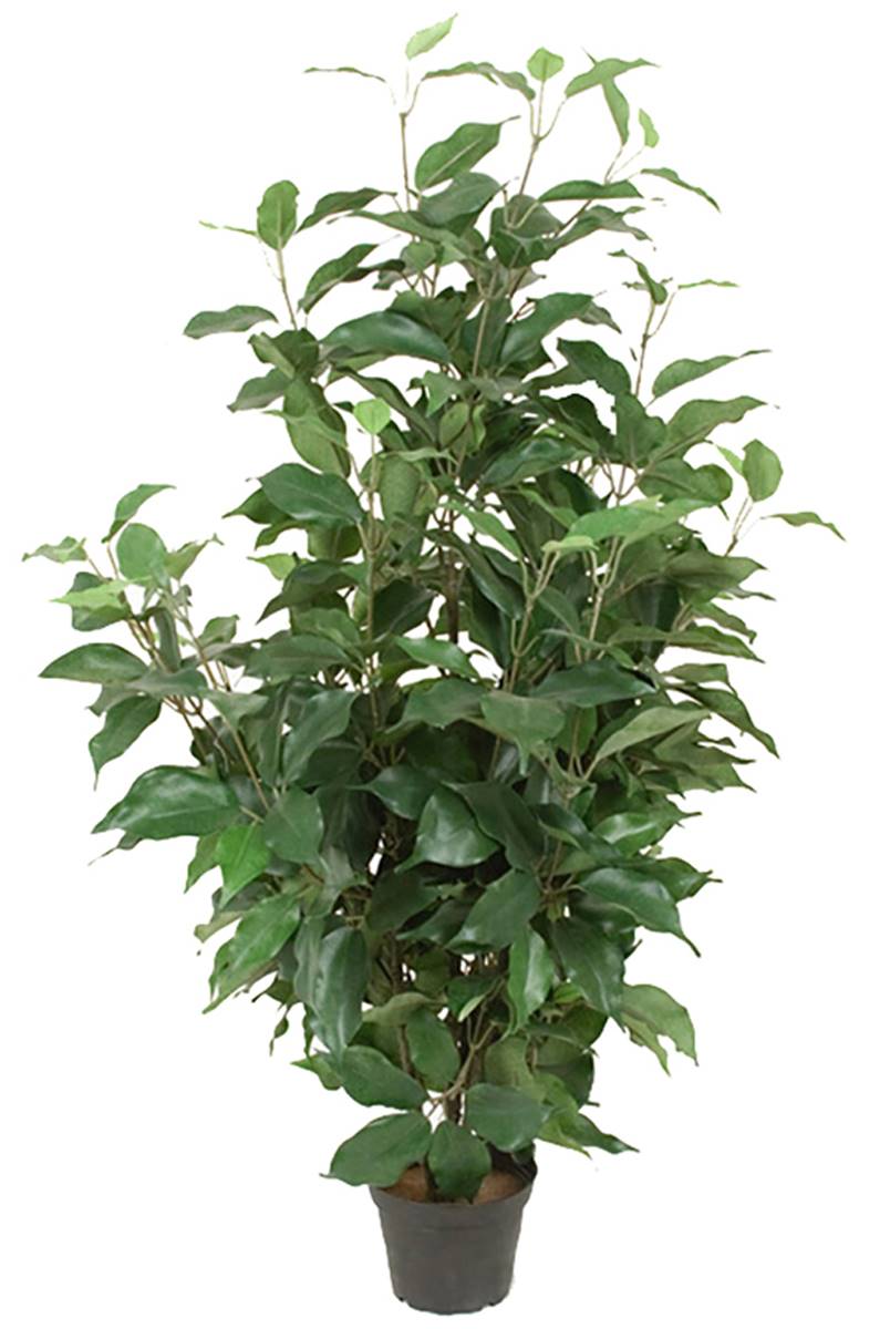Ficus Benjamina artificiel en pot, H 80 cm, ARTIFICIELLES