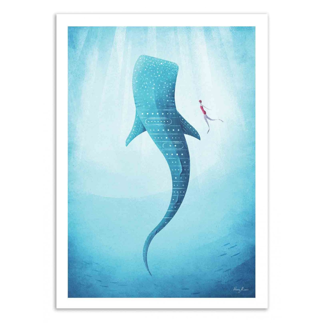 Affiche d'art - Whale Shark - Henry Rivers, WALL EDITIONS