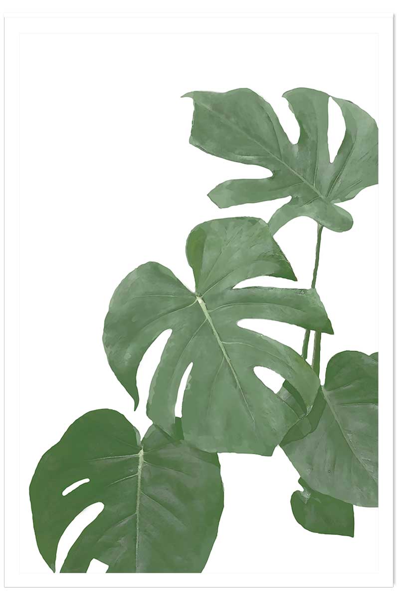 Affiche Feuilles de Monstera, HEXOA