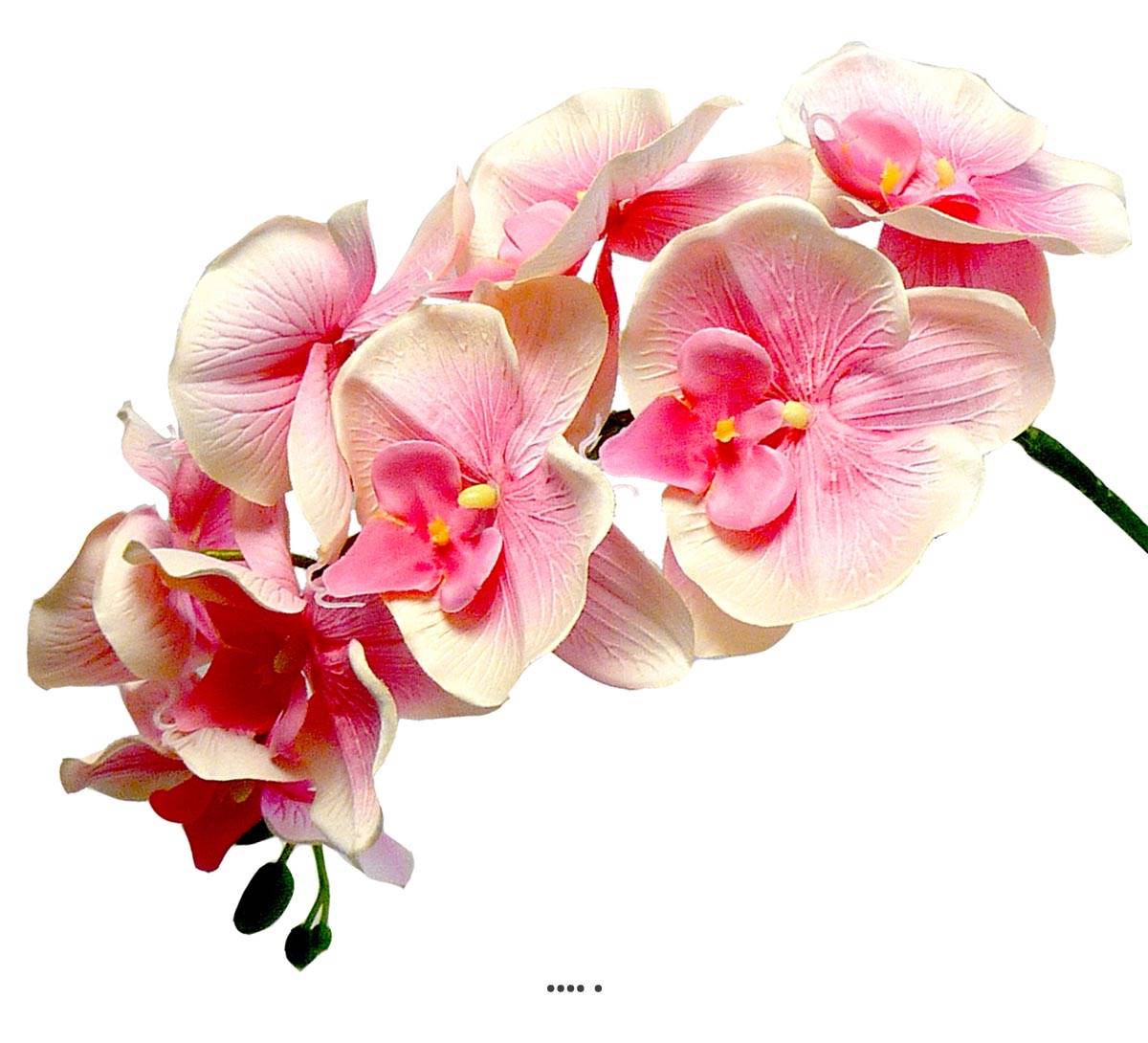 Orchidee Tao factice H105cm 8 fleurons 5 bout, ARTIFICIELLES