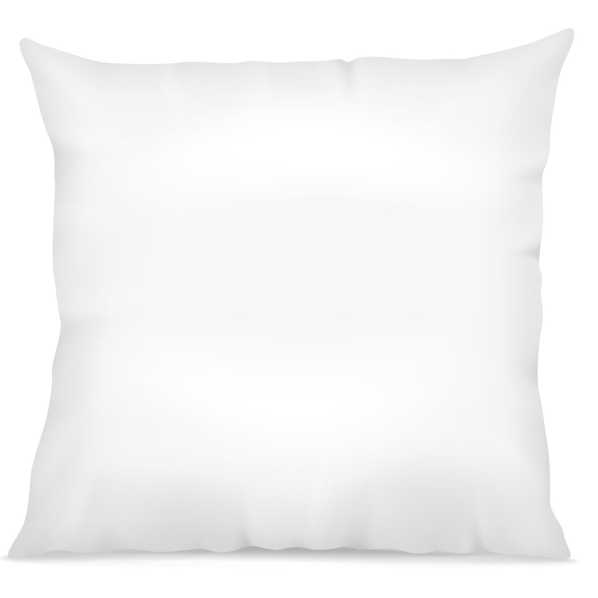 Oreiller 60x60 cm Coton 57 fils Made in France, EDEN