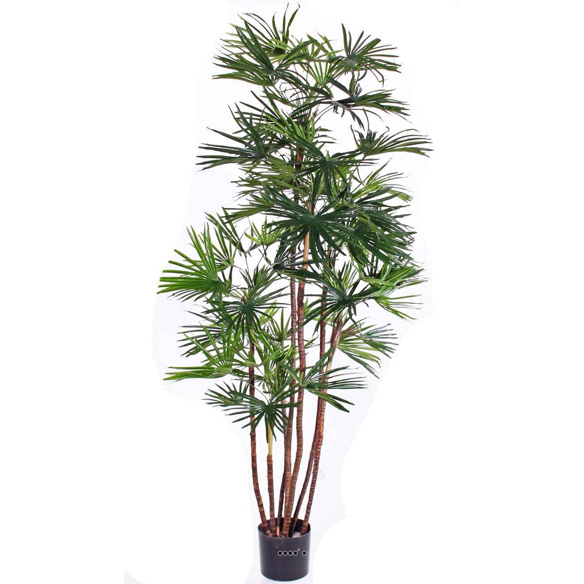 Palmier Mexicain Fan artificiel H 160 cm, ARTIFICIELLES
