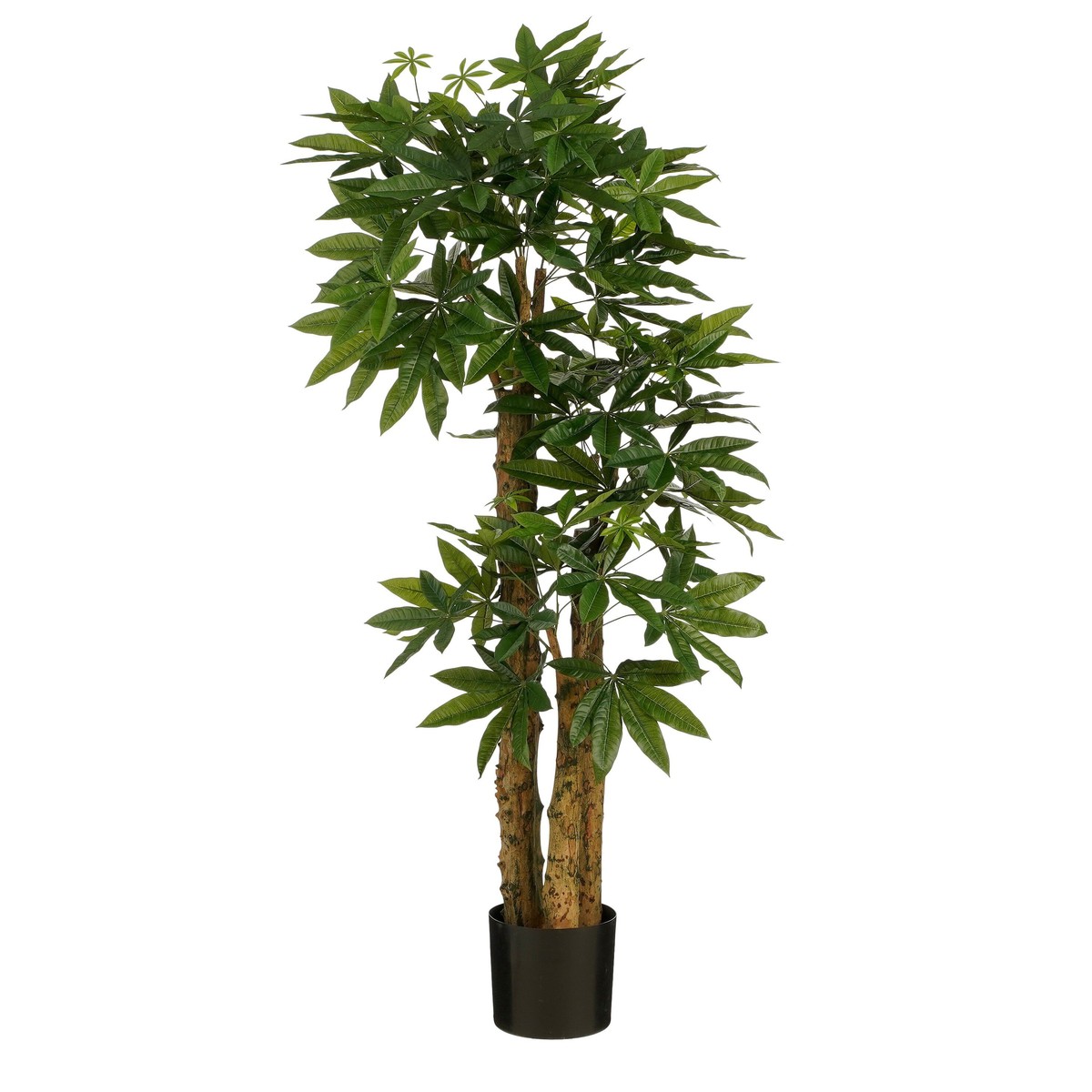 Plante artificielle PACHIRA, MICA DECORATIONS