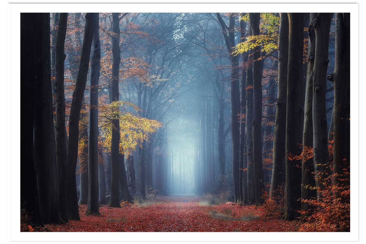 Affiche ""Lumière douce d'automne"", HEXOA