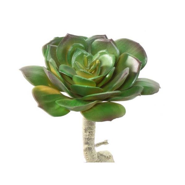 Succulente artificielle ronde en tige H 15 cm, ARTIFICIELLES