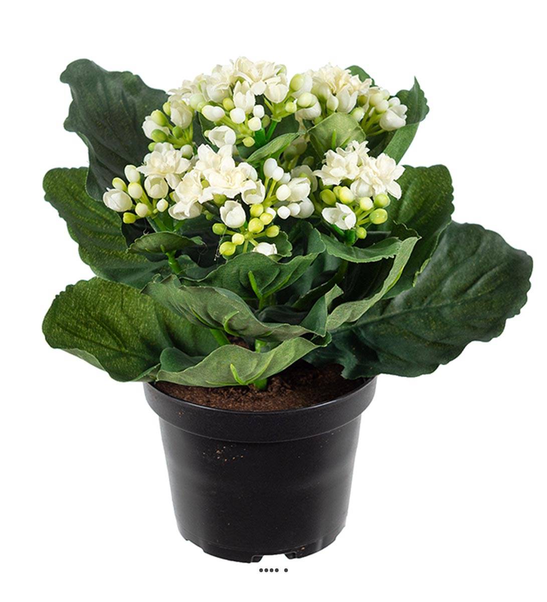 Kalanchoé artificiel en pot H 20 cm adorable, ARTIFICIELLES