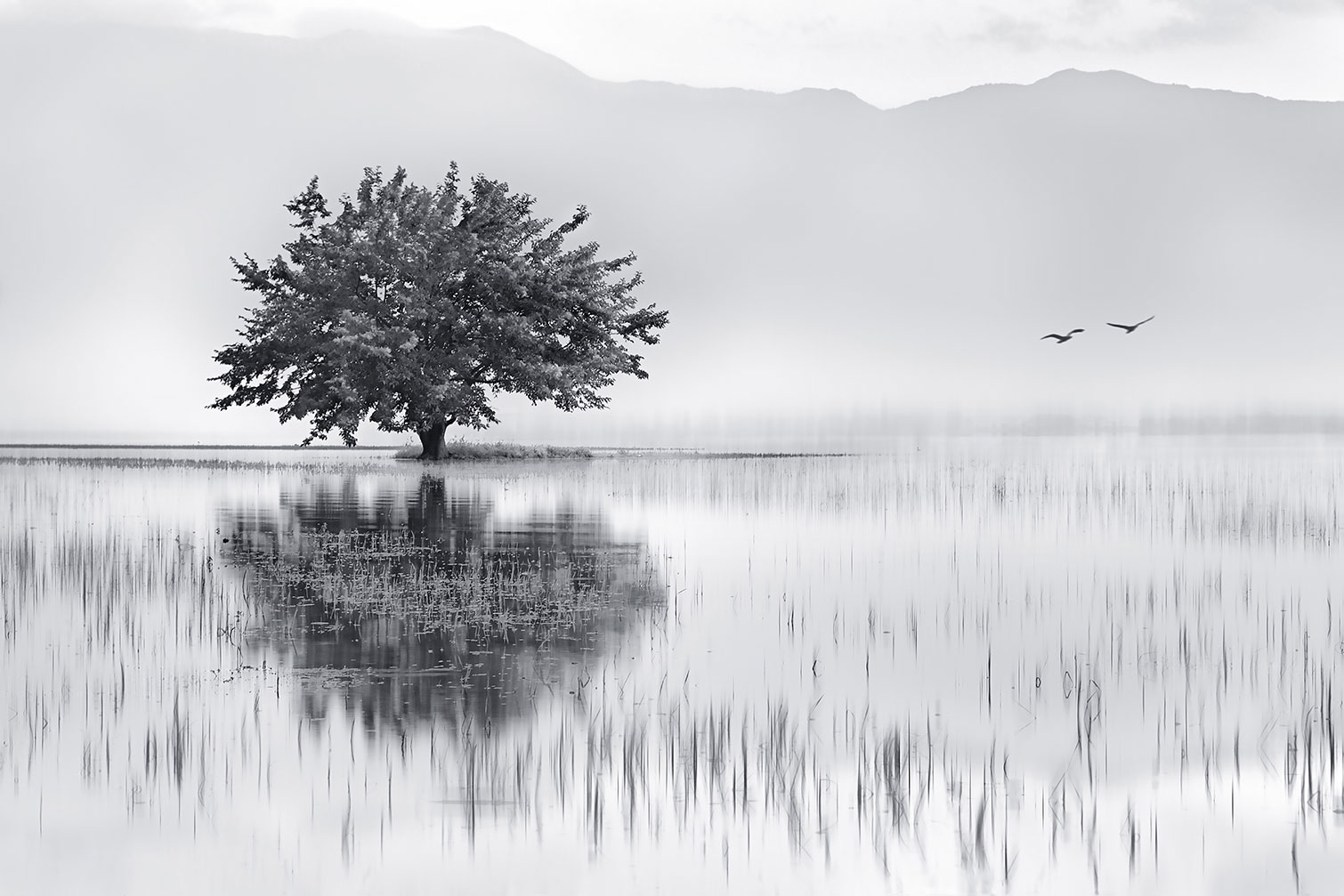 Tableau nature reflets d'eau, HEXOA