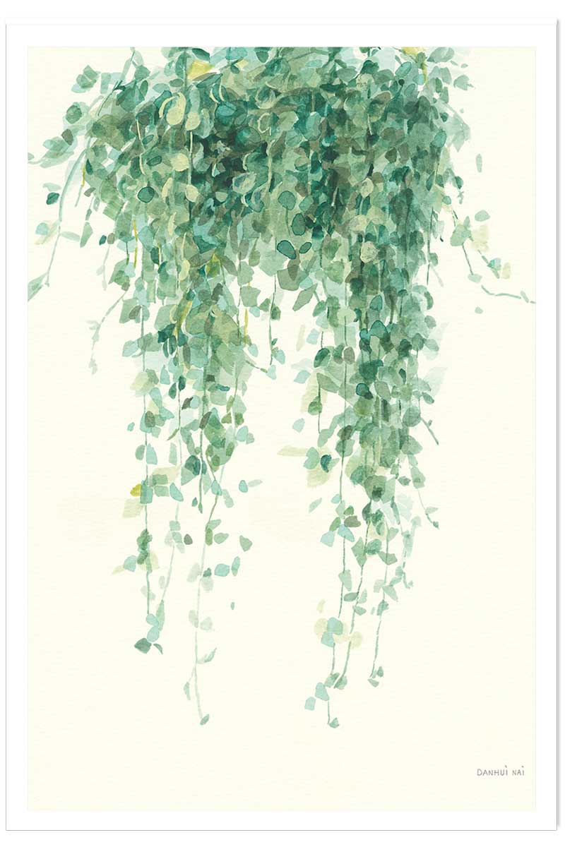 Affiche plante succulente illustrée, HEXOA